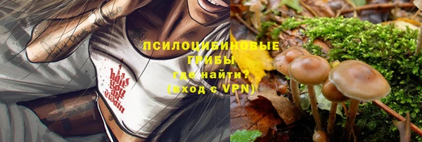 a pvp Бородино