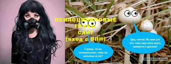 a pvp Бородино