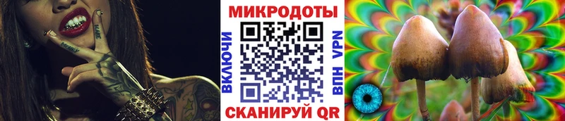 Псилоцибиновые грибы прущие грибы Купить где Прохладный
